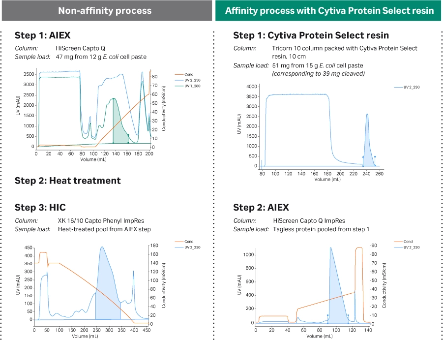 Cytiva Protein Select: Chromatograms comparing two process development approaches for a scaffold protein purification
