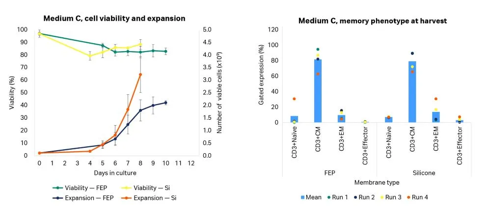 T cell viability, expansion, and memory phenotype at harvest on Sefia expansion system, cell culture medium C.