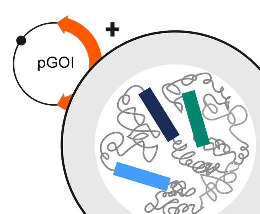 ELEVECTA packaging illustration