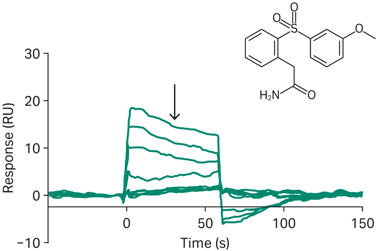 SPR sensorgram with multiple overlaid binding curves and an arrow marking the injection point, accompanied by a molecular structure diagram of the small‑molecule analyte in the upper corner.