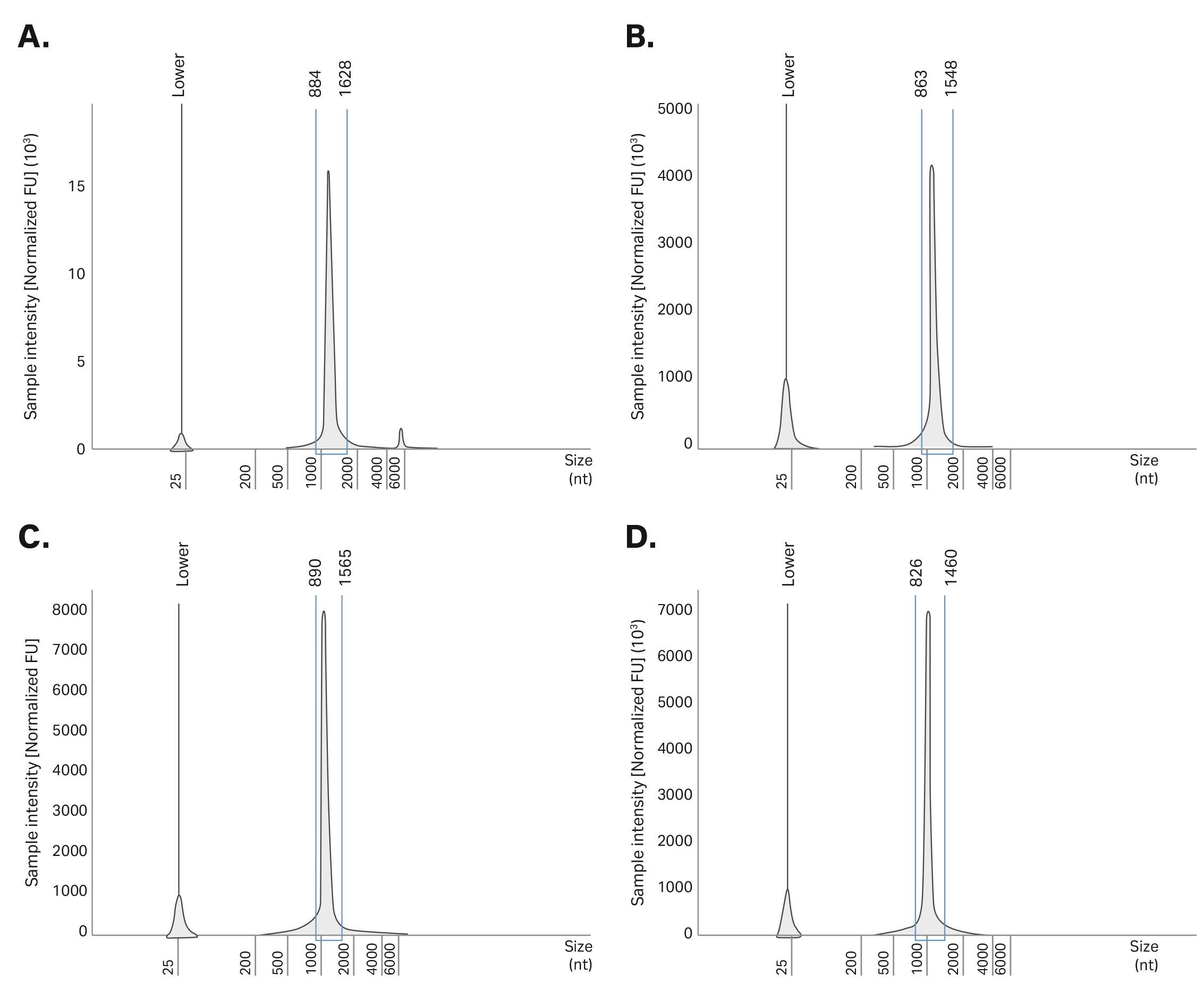 Capillary electrophoresis (CE) analyzing the mRNA integrity from different IVT reactions