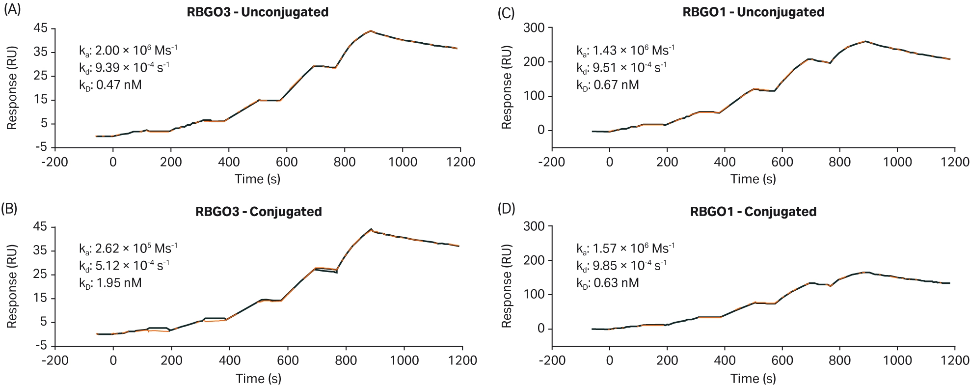 four‑panel spr sensorgram set showing binding curves for unconjugated and conjugated rbg01 and rbg03 antibodies, highlighting how conjugation affects or preserves binding kinetics.