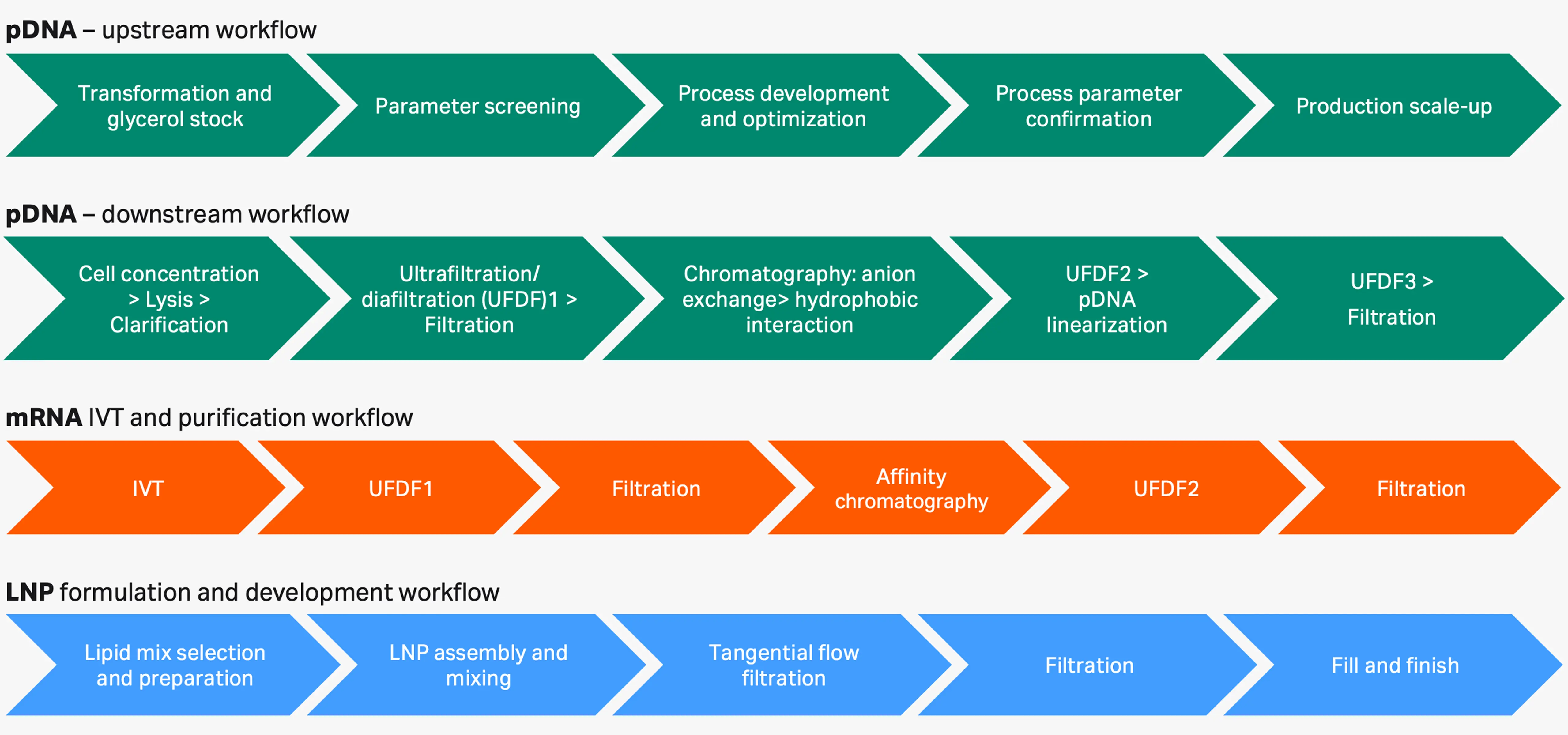 experience full support across workflows