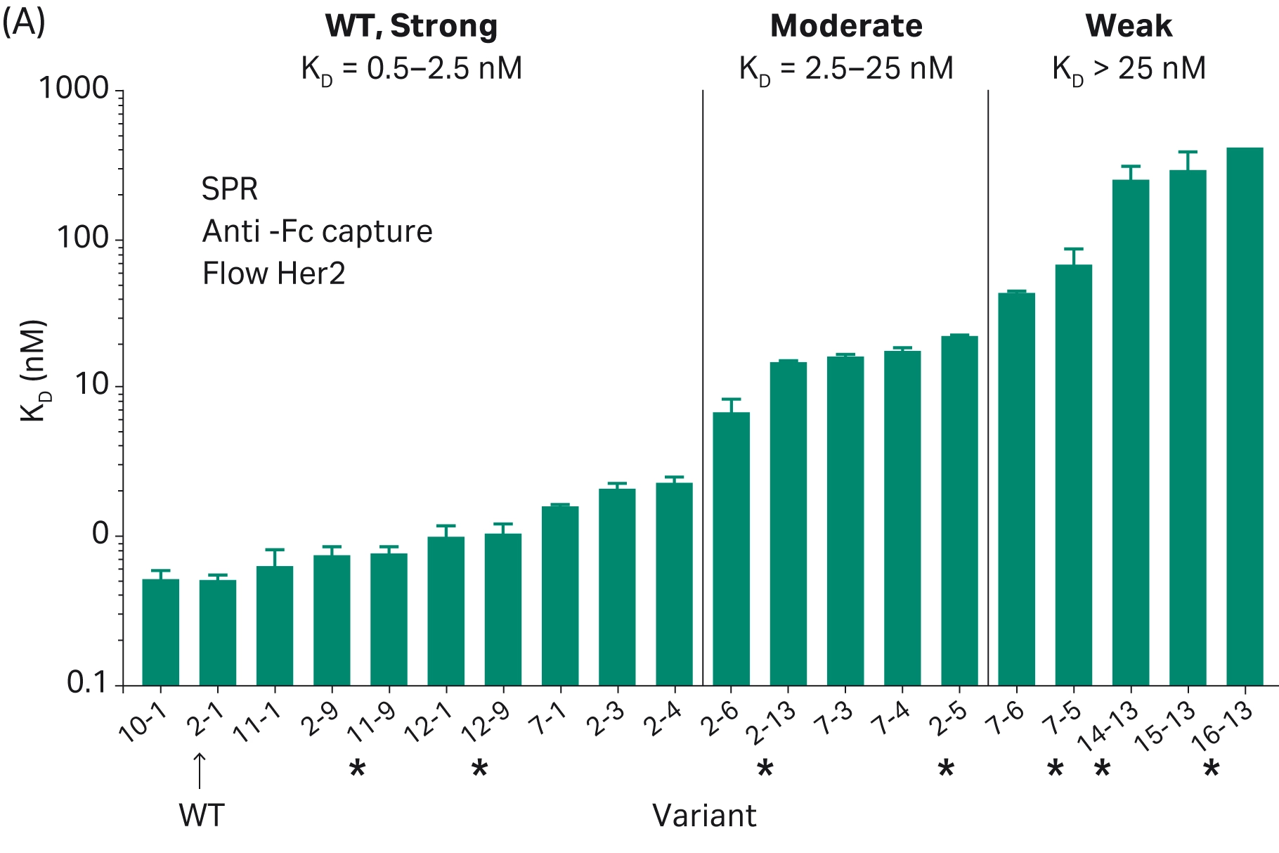 bar chart showing kd values for numerous antibody variants, grouped into strong, moderate, and weak binding categories.