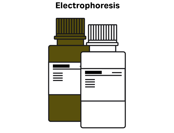 Electrophoresis