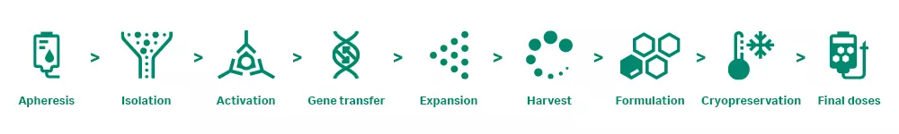 CAR T cell therapy manufacturing workflow icons