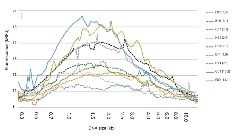 Graph of electrophoresis gel analysis of DNA samples