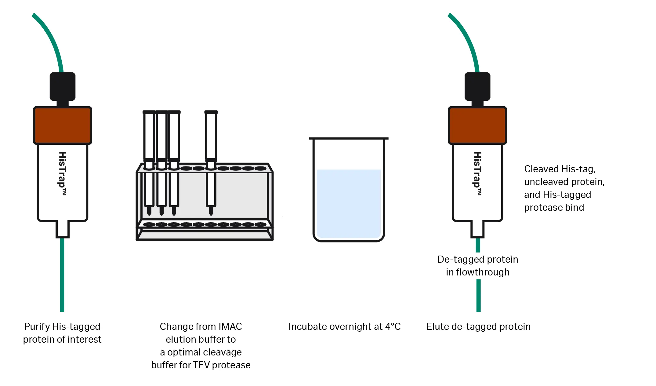 Figure 4 - HISTrap protein purification