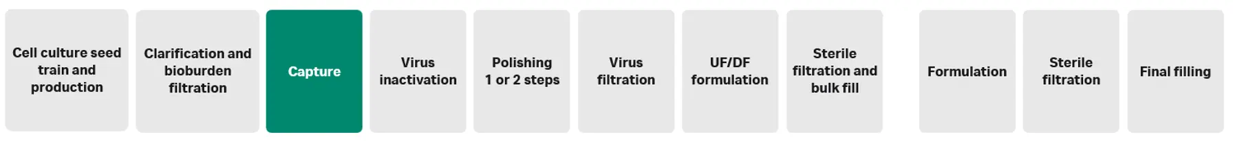 Key steps in mAb production