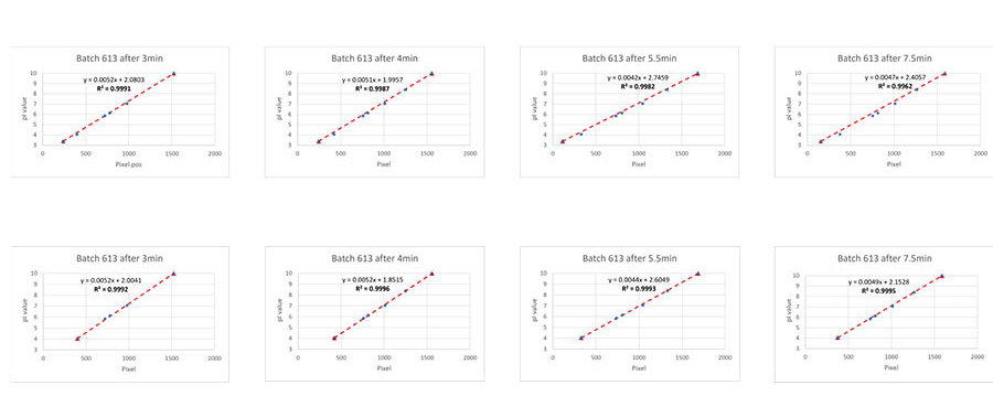 Using pI markers for comparison of different focusing times