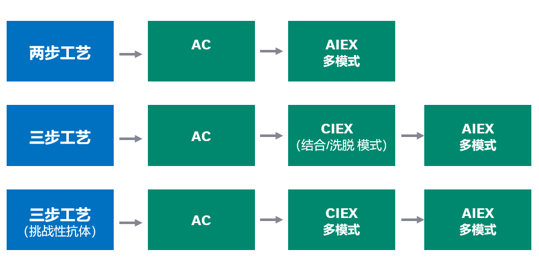 层析纯化平台示例