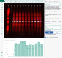 ImageQuant™ TL analysis software | Cytiva