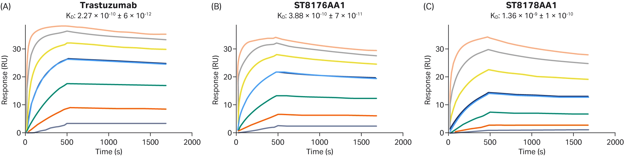 spr sensorgrams comparing trastuzumab with two adc variants, illustrating how different drug‑to‑antibody ratios affect kinetic profiles.