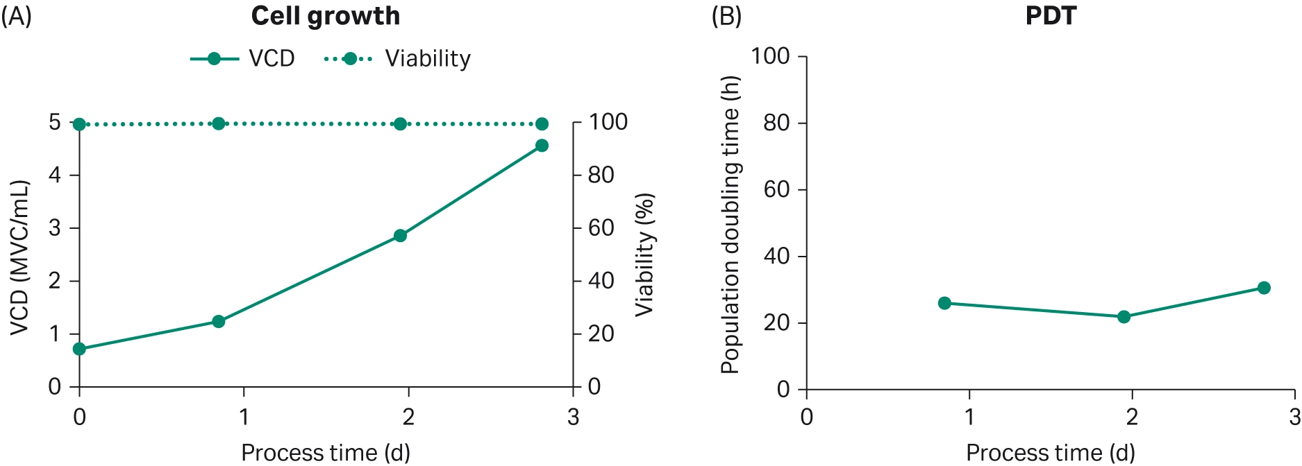Dynamic perfusion Cell growth