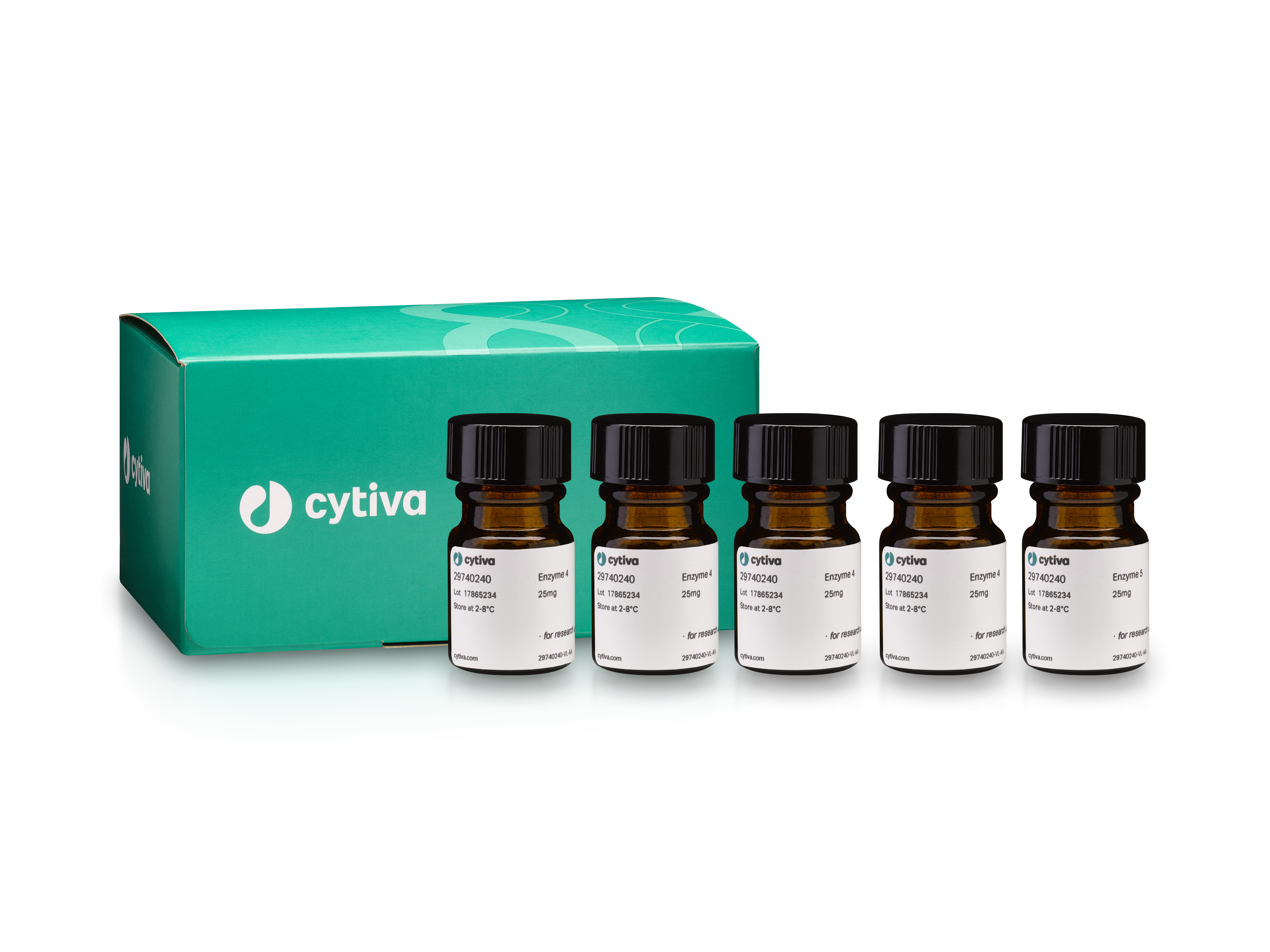 Dissociation enzyme mix