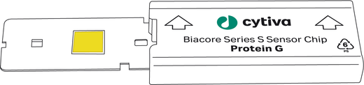 Biacore Series S Sensor Chip Protein G schematic illustration