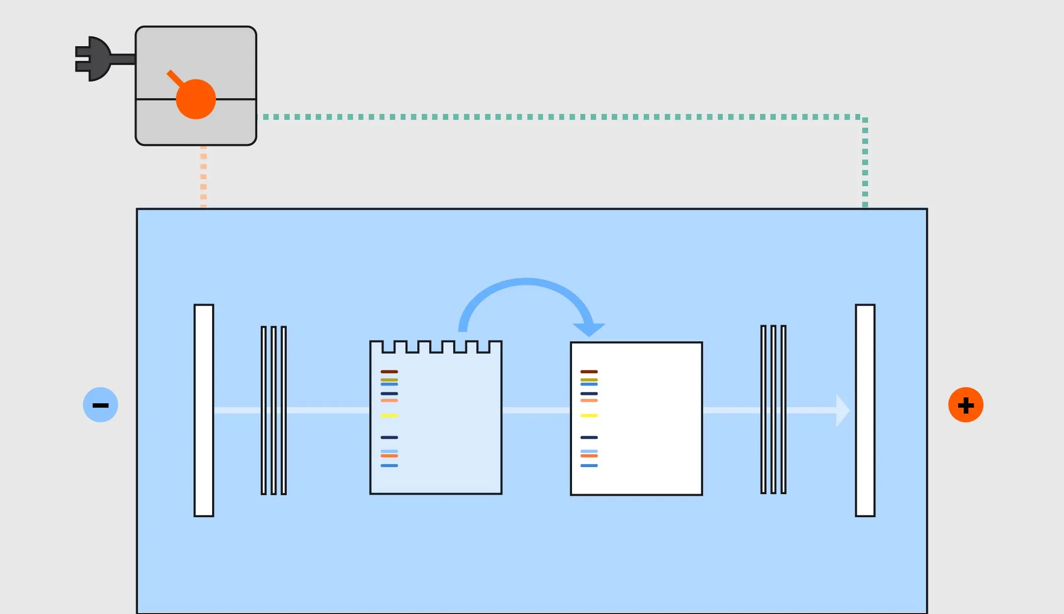Transfer of proteins from gel to membrane