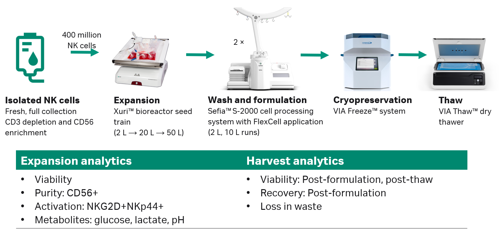 Natural killer cell workflow using Xuri bioreactor, Sefia cell processing system, and VIA Freeze and VIA Thaw systems