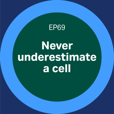 Never underestimate a cell