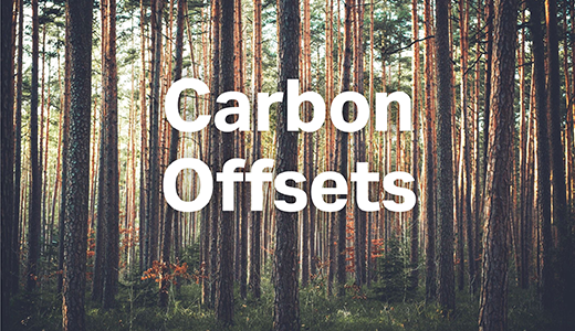 Carbon offsets image